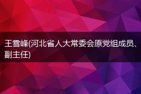 王雪峰(河北省人大常委会原党组成员、副主任)