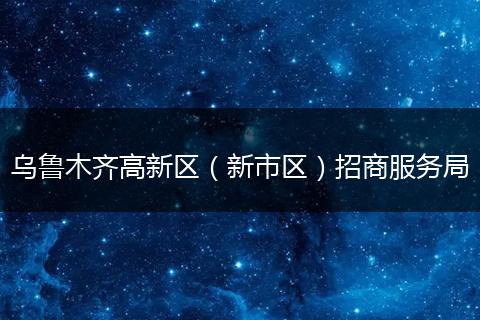 乌鲁木齐高新区(新市区)招商服务局