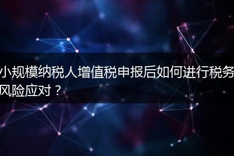 小规模纳税人增值税申报后如何进行税务风险应对？