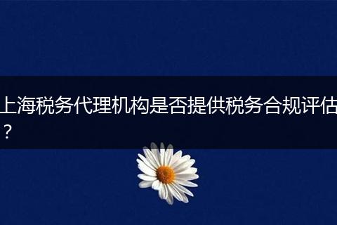 上海税务代理机构是否提供税务合规评估？