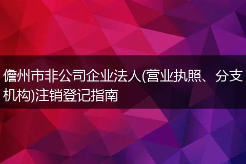 儋州市非公司企业法人(营业执照、分支机构)注销登记指南