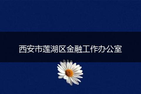 西安市莲湖区金融工作办公室