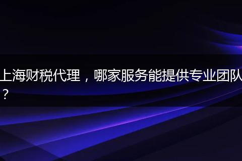上海财税代理，哪家服务能提供专业团队？