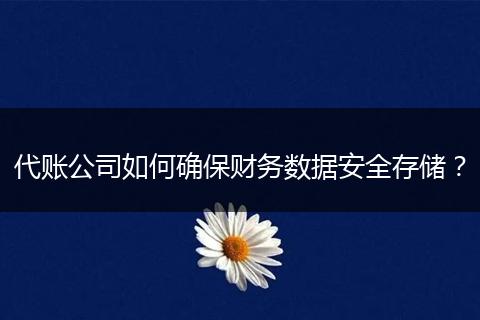 代账公司如何确保财务数据安全存储？