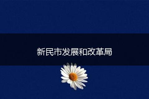 新民市发展和改革局