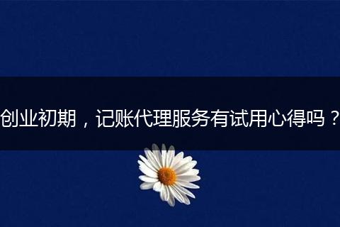 创业初期，记账代理服务有试用心得吗？