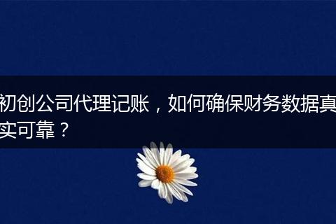 初创公司代理记账，如何确保财务数据真实可靠？