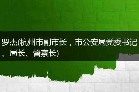 罗杰(杭州市副市长，市公安局党委书记、局长、督察长)