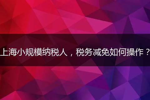 上海小规模纳税人，税务减免如何操作？