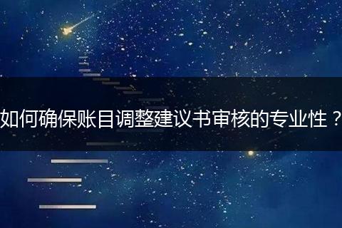 如何确保账目调整建议书审核的专业性？