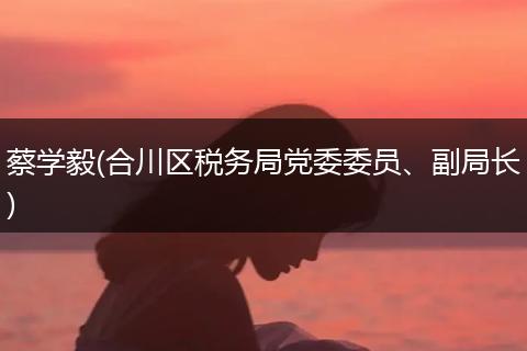 蔡学毅(合川区税务局党委委员、副局长)