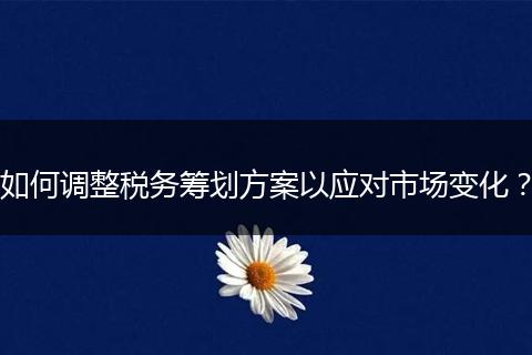 如何调整税务筹划方案以应对市场变化？