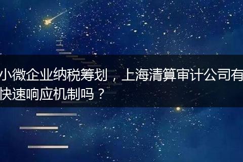 小微企业纳税筹划，上海清算审计公司有快速响应机制吗？