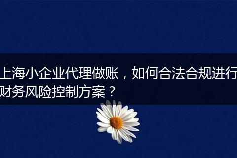 上海小企业代理做账，如何合法合规进行财务风险控制方案？