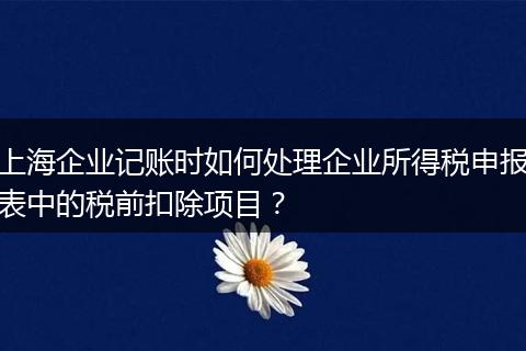 上海企业记账时如何处理企业所得税申报表中的税前扣除项目？