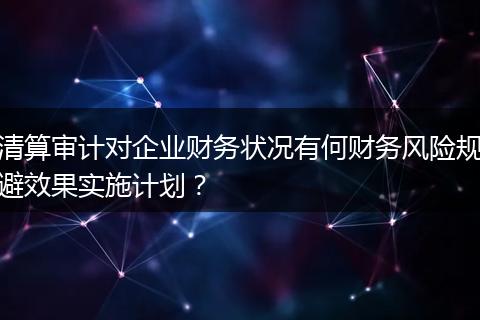 清算审计对企业财务状况有何财务风险规避效果实施计划？