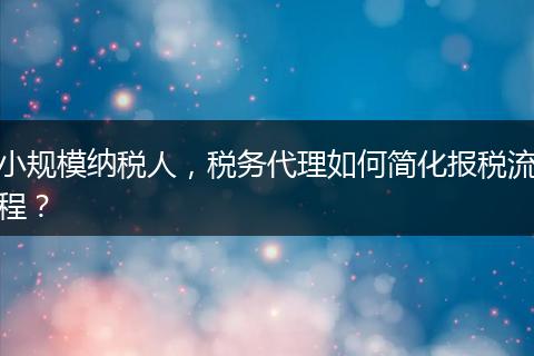 小规模纳税人,税务代理如何简化报税流程?