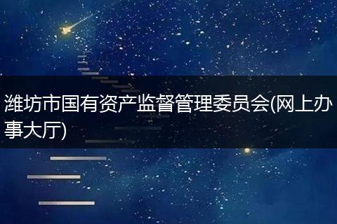 潍坊市国有资产监督管理委员会(网上办事大厅)