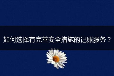 如何选择有完善安全措施的记账服务？