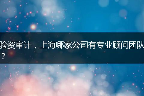 验资审计，上海哪家公司有专业顾问团队？
