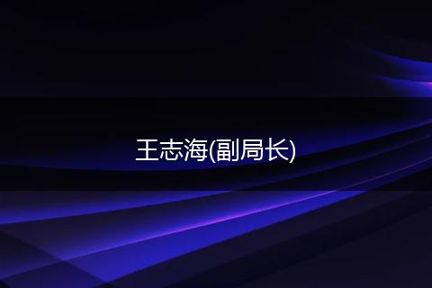 王志海(副局长)