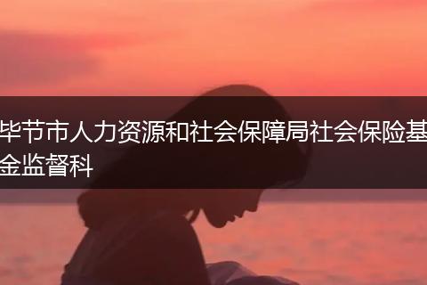 毕节市人力资源和社会保障局社会保险基金监督科