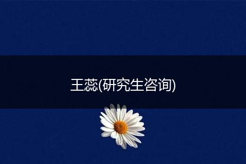 王蕊(研究生咨询)
