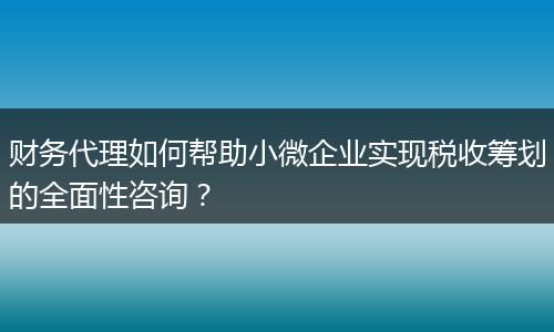 财务代理如何帮助小微企业实现税收筹划的全面性咨询？