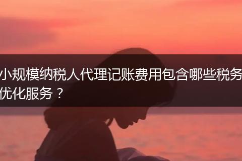小规模纳税人代理记账费用包含哪些税务优化服务？