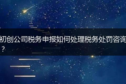 初创公司税务申报如何处理税务处罚咨询？