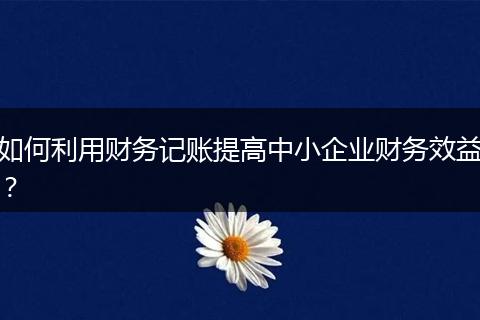 如何利用财务记账提高中小企业财务效益？