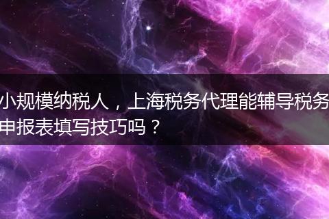 小规模纳税人，上海税务代理能辅导税务申报表填写技巧吗？