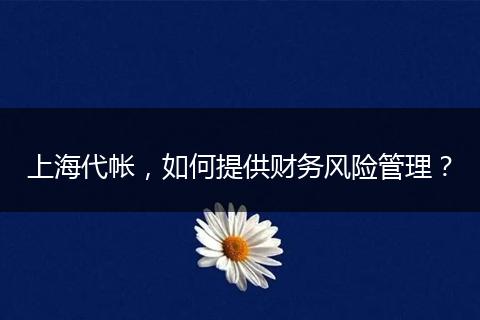 上海代帐，如何提供财务风险管理？
