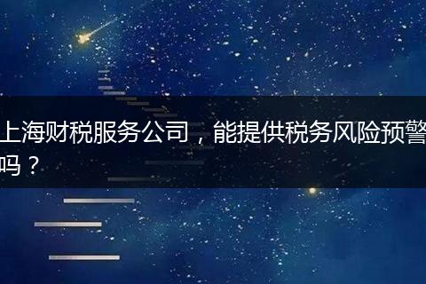 上海财税服务公司，能提供税务风险预警吗？