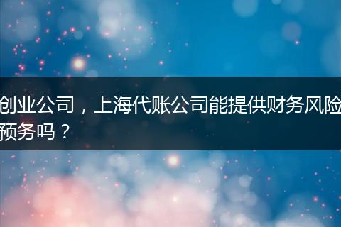 创业公司，上海代账公司能提供财务风险预务吗？