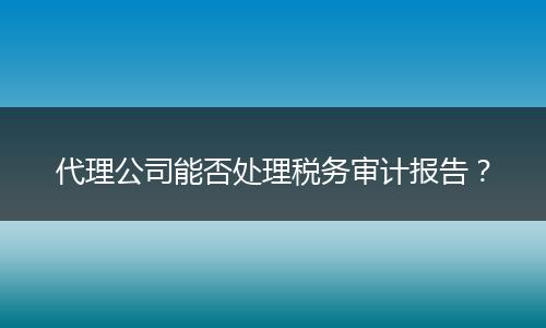 代理公司能否处理税务审计报告？