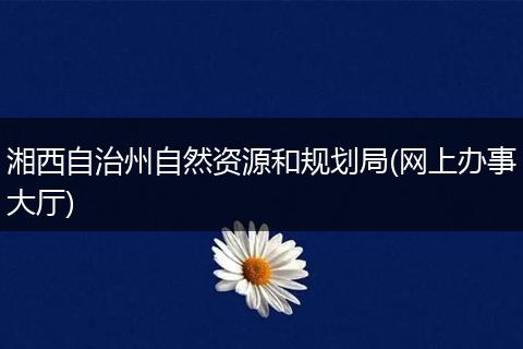 湘西自治州自然资源和规划局(网上办事大厅)