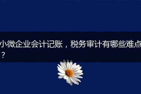 小微企业会计记账，税务审计有哪些难点？