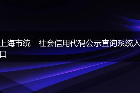 上海市统一社会信用代码公示查询系统入口