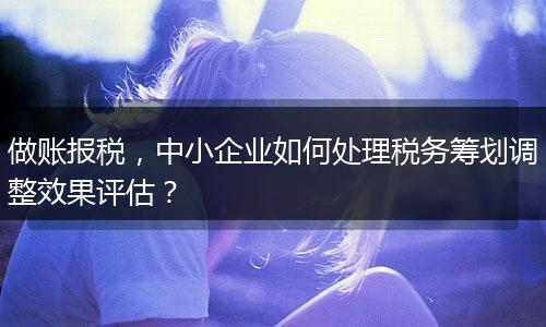 做账报税,中小企业如何处理税务筹划调整效果评估?