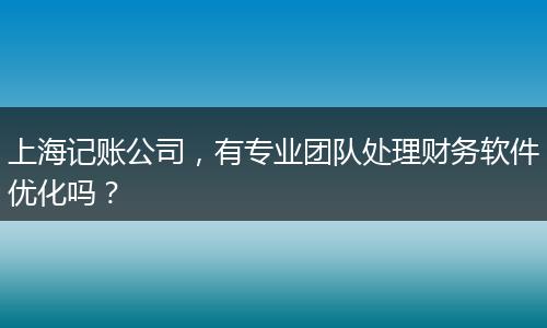 上海记账公司，有专业团队处理财务软件优化吗？