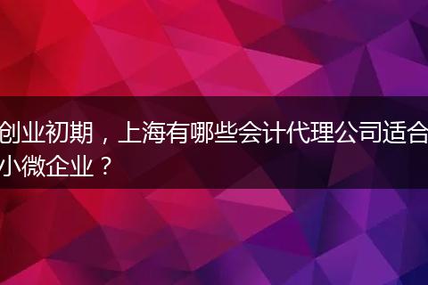 创业初期,上海有哪些会计代理公司适合小微企业?