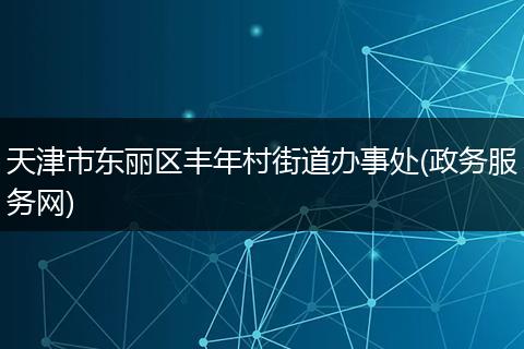 天津市东丽区丰年村街道办事处(政务服务网)