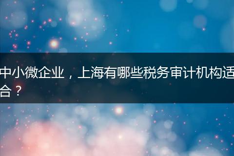 中小微企业，上海有哪些税务审计机构适合？