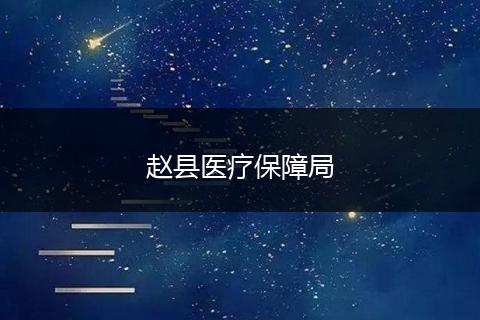 赵县医疗保障局