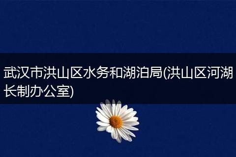 武汉市洪山区水务和湖泊局(洪山区河湖长制办公室)