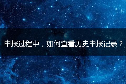 申报过程中，如何查看历史申报记录？