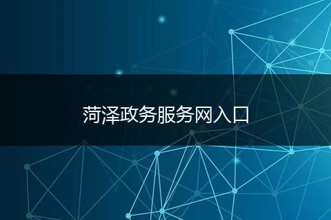 菏泽政务服务网入口