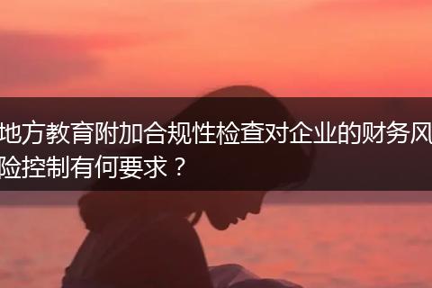 地方教育附加合规性检查对企业的财务风险控制有何要求？