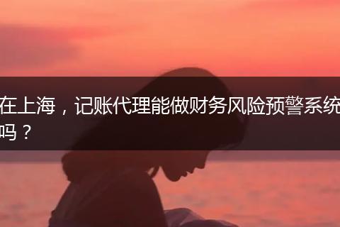 在上海，记账代理能做财务风险预警系统吗？